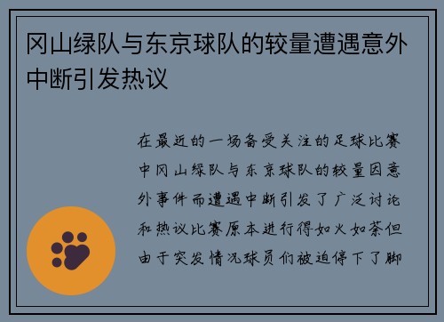 冈山绿队与东京球队的较量遭遇意外中断引发热议